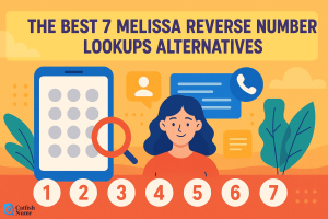 melissa lookups alternatives